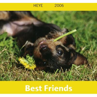Hunde Best Friends Freunde mini 2006 - Preis vom 20.06.2026 05:23:55 h Hunde Best Friends Freunde mini 2006 - Preis vom 20.06.2026 05:23:55 h
