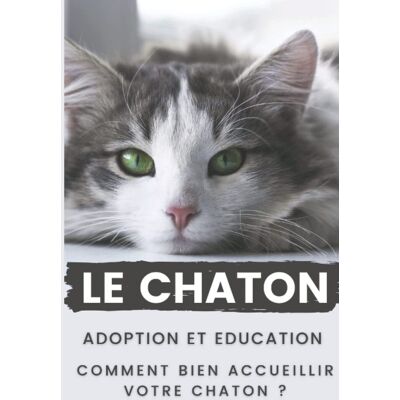 Marc Le Chaton : Adoption et Education Comment Bien Accueillir votre Chaton: Ce guide sur le chaton vous donne des conseils sur l'arrivée de votre Chaton, le guide du chaton les différentes étapes - Preis vom 23.06.2026 11:45:09 h Marc Le Chaton : Adoption et Education Comment Bien Accueillir votre Chaton: Ce guide sur le chaton vous donne des conseils sur l'arrivée de votre Chaton, le guide du chaton les différentes étapes - Preis vom 23.06.2026 11:45:09 h