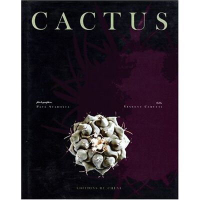 Vincent Les cactus - Preis vom 22.06.2026 23:23:57 h Vincent Les cactus - Preis vom 22.06.2026 23:23:57 h