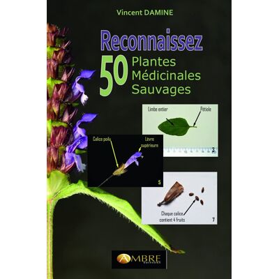 Vincent Reconnaissez 50 plantes médicinales sauvages - Preis vom 23.06.2026 11:45:09 h Vincent Reconnaissez 50 plantes médicinales sauvages - Preis vom 23.06.2026 11:45:09 h