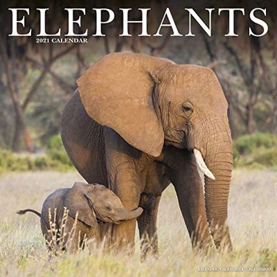 Elephants 2021 Wall Calendar - Preis vom 22.09.2026 03:35:57 h Elephants 2021 Wall Calendar - Preis vom 22.09.2026 03:35:57 h