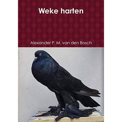 Bosch Weke harten - Preis vom 07.08.2026 11:47:26 h Bosch Weke harten - Preis vom 07.08.2026 11:47:26 h