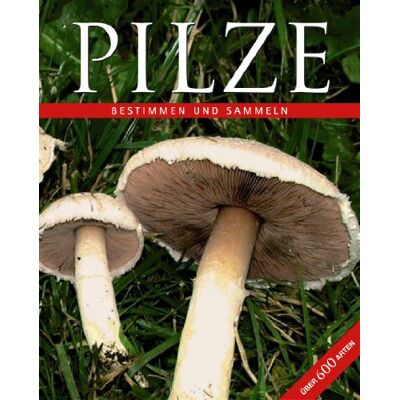 Lohmeyer, Till R. - Das große Buch der Pilze - Preis vom 26.06.2026 19:40:26 h Lohmeyer, Till R. - Das große Buch der Pilze - Preis vom 26.06.2026 19:40:26 h