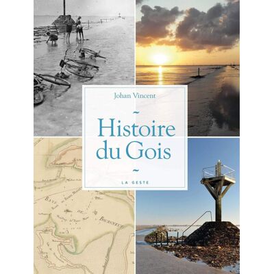 Vincent Histoire du Gois - Preis vom 22.06.2026 23:23:57 h Vincent Histoire du Gois - Preis vom 22.06.2026 23:23:57 h