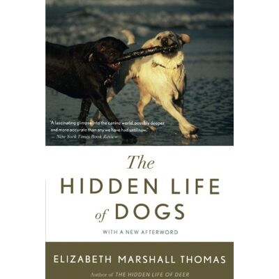 Marshall The Hidden Life of Dogs - Preis vom 07.08.2026 11:47:26 h Marshall The Hidden Life of Dogs - Preis vom 07.08.2026 11:47:26 h