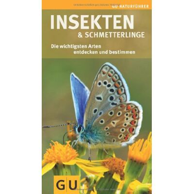 Brandt Insekten und Schmetterlinge: Die wichtigsten Arten entdecken und bestimmen - Preis vom 07.08.2026 11:47:26 h Brandt Insekten und Schmetterlinge: Die wichtigsten Arten entdecken und bestimmen - Preis vom 07.08.2026 11:47:26 h