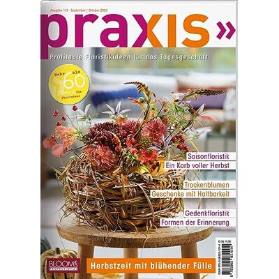 Team PRAXIS - PRAXIS Nr. 113: Profitable Floristikideen für das Tagesgeschäft (PRAXIS - Das Magazin) - Preis vom 24.06.2026 19:44:00 h Team PRAXIS - PRAXIS Nr. 113: Profitable Floristikideen für das Tagesgeschäft (PRAXIS - Das Magazin) - Preis vom 24.06.2026 19:44:00 h