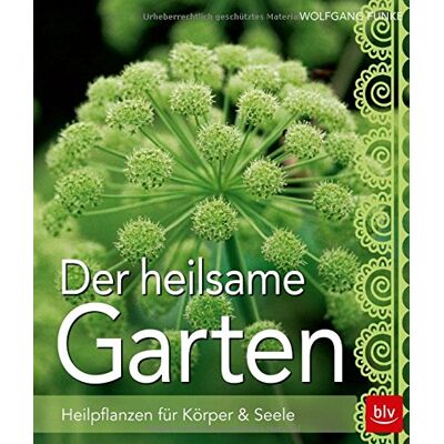 Funke Der heilsame Garten: Heilpflanzen selbst anbauen - Preis vom 24.06.2026 07:42:13 h Funke Der heilsame Garten: Heilpflanzen selbst anbauen - Preis vom 24.06.2026 07:42:13 h