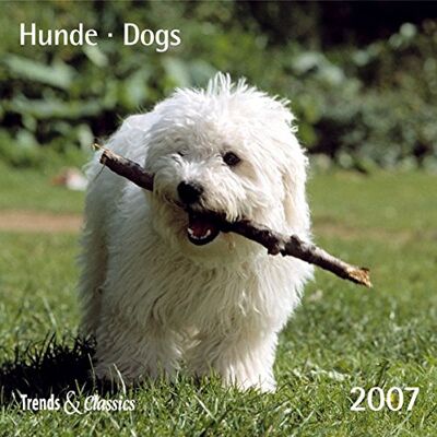 Hunde - T&C 2007 - Preis vom 21.06.2026 05:42:24 h Hunde - T&C 2007 - Preis vom 21.06.2026 05:42:24 h