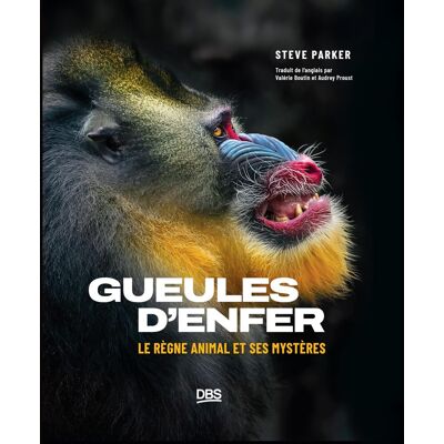 Parker Gueules d'enfer : le règne animal et ses mystères - Preis vom 24.06.2026 19:44:00 h Parker Gueules d'enfer : le règne animal et ses mystères - Preis vom 24.06.2026 19:44:00 h
