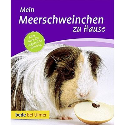 Dietz Mein Meerschweinchen zu Hause - Preis vom 07.08.2026 11:47:26 h Dietz Mein Meerschweinchen zu Hause - Preis vom 07.08.2026 11:47:26 h