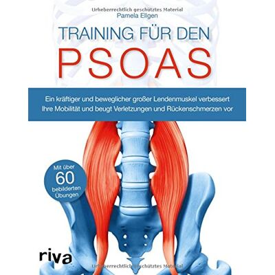 Pamela Ellgen - Training für den Psoas: Ein kräftiger und beweglicher großer Lendenmuskel verbessert Ihre Mobilität und beugt Verletzungen und Rückenschmerzen vor - Preis vom 18.06.2026 05:44:55 h Pamela Ellgen - Training für den Psoas: Ein kräftiger und beweglicher großer Lendenmuskel verbessert Ihre Mobilität und beugt Verletzungen und Rückenschmerzen vor - Preis vom 18.06.2026 05:44:55 h