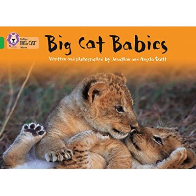 Scott Big Cat Babies: Band 05/Green (Collins Big Cat) - Preis vom 20.06.2026 05:23:55 h Scott Big Cat Babies: Band 05/Green (Collins Big Cat) - Preis vom 20.06.2026 05:23:55 h