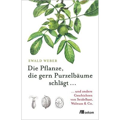 Weber Die Pflanze, die gern Purzelbäume schlägt …: …und andere Geschichten von Seidelbast, Walnuss & Co. - Preis vom 20.06.2026 05:23:55 h Weber Die Pflanze, die gern Purzelbäume schlägt …: …und andere Geschichten von Seidelbast, Walnuss & Co. - Preis vom 20.06.2026 05:23:55 h