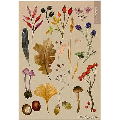myNOTES Papeterie: Notizheft Naturschätze: Bunte Herbstblätter Heft liniert A5, herbstliche Naturoptik, für Notizen und gute Ideen unterwegs - Preis vom 24.06.2026 19:44:00 h myNOTES Papeterie: Notizheft Naturschätze: Bunte Herbstblätter Heft liniert A5, herbstliche Naturoptik, für Notizen und gute Ideen unterwegs - Preis vom 24.06.2026 19:44:00 h