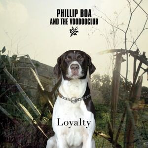 Phillip Boa & the Voodooclub - Loyalty-Deluxe Edition - Preis vom 11.06.2026 05:43:19 h Phillip Boa & the Voodooclub - Loyalty-Deluxe Edition - Preis vom 11.06.2026 05:43:19 h