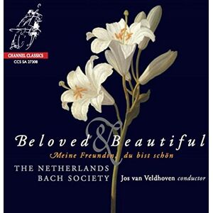Zomer - Beloved & Beautiful - Preis vom 12.06.2026 05:40:31 h Zomer - Beloved & Beautiful - Preis vom 12.06.2026 05:40:31 h