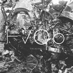 Hvob - Trialog - Preis vom 11.06.2026 05:43:19 h Hvob - Trialog - Preis vom 11.06.2026 05:43:19 h