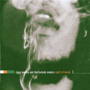 Ziggy Marley - Spirit of Music - Preis vom 10.06.2026 05:35:22 h Ziggy Marley - Spirit of Music - Preis vom 10.06.2026 05:35:22 h