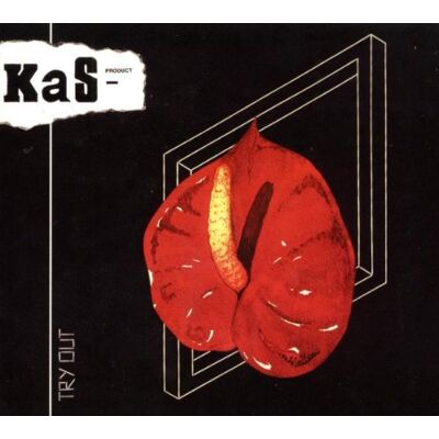 Kas Product - Try Out - Preis vom 17.06.2026 05:34:31 h Kas Product - Try Out - Preis vom 17.06.2026 05:34:31 h