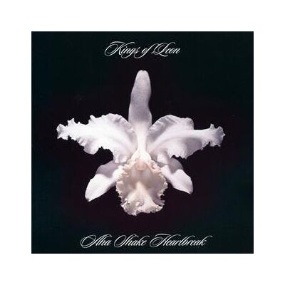 Kings of Leon - Aha Shake Heartbreak - Preis vom 16.06.2026 05:30:18 h Kings of Leon - Aha Shake Heartbreak - Preis vom 16.06.2026 05:30:18 h