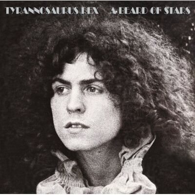 Tyrannosaurus Rex - A Beard of Stars - Preis vom 24.10.2026 11:42:45 h Tyrannosaurus Rex - A Beard of Stars - Preis vom 24.10.2026 11:42:45 h
