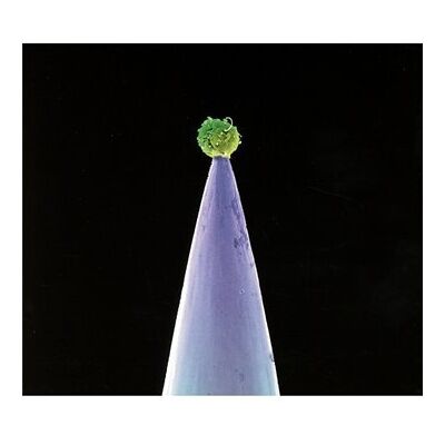 Peter Gabriel - New Blood - Preis vom 17.06.2026 05:34:31 h Peter Gabriel - New Blood - Preis vom 17.06.2026 05:34:31 h