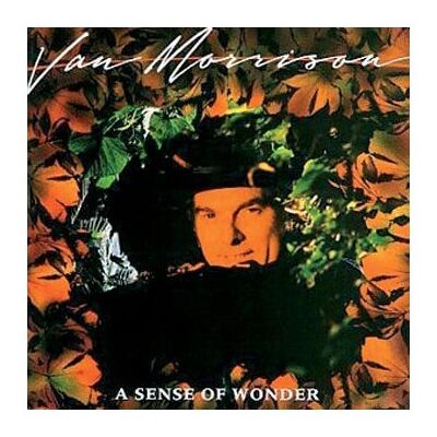 Van Morrison - A Sense of Wonder (Remastered) - Preis vom 18.06.2026 05:44:55 h Van Morrison - A Sense of Wonder (Remastered) - Preis vom 18.06.2026 05:44:55 h