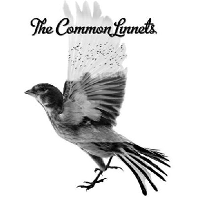 The Common Linnets - Preis vom 16.06.2026 05:30:18 h The Common Linnets - Preis vom 16.06.2026 05:30:18 h
