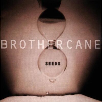 Brother Seeds - Preis vom 08.09.2026 16:12:08 h Brother Seeds - Preis vom 08.09.2026 16:12:08 h