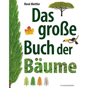 René Mettler - Das große Buch der Bäume - Preis vom 15.06.2026 05:30:30 h René Mettler - Das große Buch der Bäume - Preis vom 15.06.2026 05:30:30 h