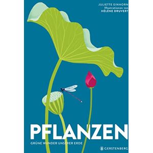 Hélène Druvert - Pflanzen: Grüne Wunder unserer Erde - Preis vom 12.06.2026 05:40:31 h Hélène Druvert - Pflanzen: Grüne Wunder unserer Erde - Preis vom 12.06.2026 05:40:31 h