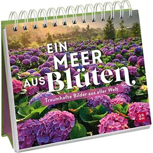 Funk Ein Meer aus Blüten: Traumhafte Bilder aus aller Welt Deko-Aufsteller mit zauberhafter Blütenpracht (Geschenke für Naturliebhaber und Gartenfreunde) - Preis vom 13.06.2026 05:28:29 h Funk Ein Meer aus Blüten: Traumhafte Bilder aus aller Welt Deko-Aufsteller mit zauberhafter Blütenpracht (Geschenke für Naturliebhaber und Gartenfreunde) - Preis vom 13.06.2026 05:28:29 h