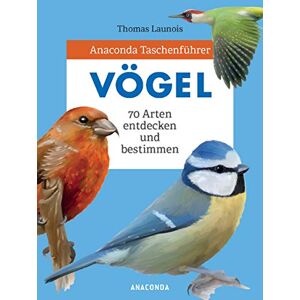 Thomas Launois - Anaconda Taschenführer Vögel - Preis vom 16.06.2026 05:30:18 h Thomas Launois - Anaconda Taschenführer Vögel - Preis vom 16.06.2026 05:30:18 h