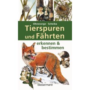 Gerd Ohnesorge - Tierspuren und Fährten erkennen & bestimmen - Preis vom 11.06.2026 05:43:19 h Gerd Ohnesorge - Tierspuren und Fährten erkennen & bestimmen - Preis vom 11.06.2026 05:43:19 h
