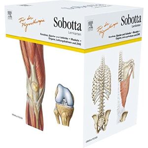 Lars Bräuer - Sobotta Lernkarten für Physiotherapeuten / Manualtherapeuten - Preis vom 11.06.2026 05:43:19 h Lars Bräuer - Sobotta Lernkarten für Physiotherapeuten / Manualtherapeuten - Preis vom 11.06.2026 05:43:19 h