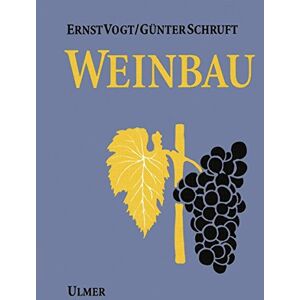 Ernst Vogt - Weinbau - Preis vom 15.06.2026 05:30:30 h Ernst Vogt - Weinbau - Preis vom 15.06.2026 05:30:30 h
