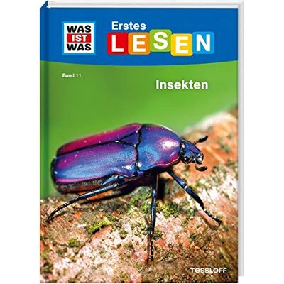 Braun WAS IST WAS Erstes Lesen Band 11 Insekten - Preis vom 22.06.2026 11:45:37 h Braun WAS IST WAS Erstes Lesen Band 11 Insekten - Preis vom 22.06.2026 11:45:37 h