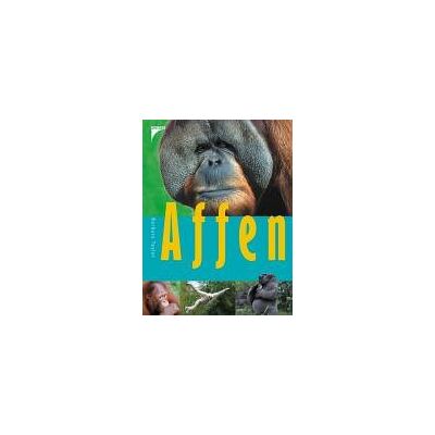 Taylor Affen - Preis vom 24.06.2026 19:44:00 h Taylor Affen - Preis vom 24.06.2026 19:44:00 h