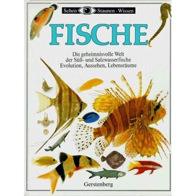 Parker Fische - Preis vom 24.06.2026 19:44:00 h Parker Fische - Preis vom 24.06.2026 19:44:00 h
