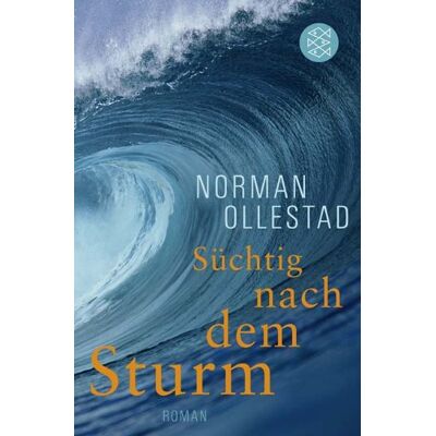 Norman Süchtig nach dem Sturm: Roman - Preis vom 24.06.2026 07:42:13 h Norman Süchtig nach dem Sturm: Roman - Preis vom 24.06.2026 07:42:13 h