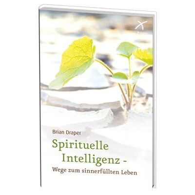 Draper Spirituelle Intelligenz - Wege zum sinnerfüllten Leben - Preis vom 23.06.2026 11:45:09 h Draper Spirituelle Intelligenz - Wege zum sinnerfüllten Leben - Preis vom 23.06.2026 11:45:09 h