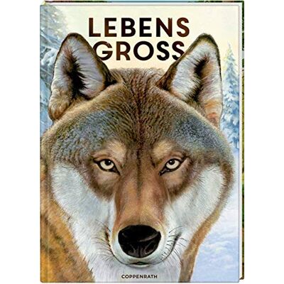 Holger Haag - Lebensgroß: Tiere des Waldes (Nature Zoom) - Preis vom 16.06.2026 05:30:18 h Holger Haag - Lebensgroß: Tiere des Waldes (Nature Zoom) - Preis vom 16.06.2026 05:30:18 h