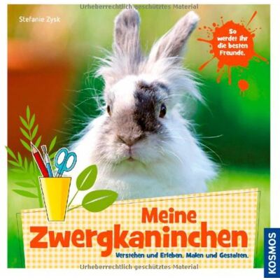 Stefanie Zysk - Meine Zwergkaninchen: So werdet ihr die besten Freunde - Preis vom 22.06.2026 11:45:37 h Stefanie Zysk - Meine Zwergkaninchen: So werdet ihr die besten Freunde - Preis vom 22.06.2026 11:45:37 h