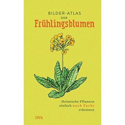 Bilder-Atlas der Frühlingsblumen: Heimische Pflanzen einfach nach Farbe erkennen - Preis vom 24.06.2026 07:42:13 h Bilder-Atlas der Frühlingsblumen: Heimische Pflanzen einfach nach Farbe erkennen - Preis vom 24.06.2026 07:42:13 h