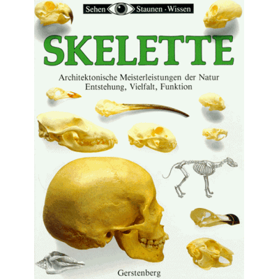 Parker Sehen, Staunen, Wissen: Skelette - Preis vom 24.06.2026 19:44:00 h Parker Sehen, Staunen, Wissen: Skelette - Preis vom 24.06.2026 19:44:00 h