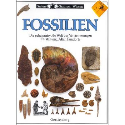 Taylor Fossilien - Preis vom 24.06.2026 19:44:00 h Taylor Fossilien - Preis vom 24.06.2026 19:44:00 h