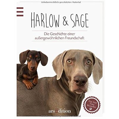Brittni Vega - Harlow & Sage: Die Geschichte einer außergewöhnlichen Freundschaft - Preis vom 22.09.2026 03:35:57 h Brittni Vega - Harlow & Sage: Die Geschichte einer außergewöhnlichen Freundschaft - Preis vom 22.09.2026 03:35:57 h