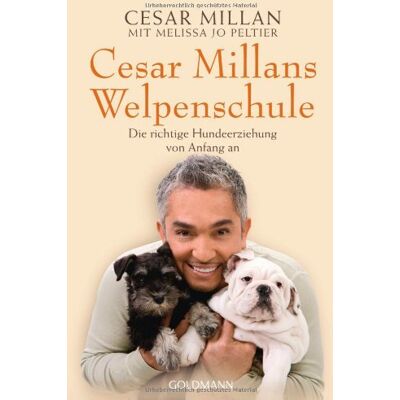 Cesar Millan - Cesar Millans Welpenschule: Die richtige Hundeerziehung von Anfang an - Preis vom 16.06.2026 05:30:18 h Cesar Millan - Cesar Millans Welpenschule: Die richtige Hundeerziehung von Anfang an - Preis vom 16.06.2026 05:30:18 h