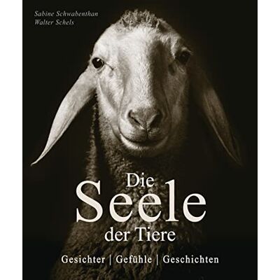 Sabine Remy-Schwabenthan - Die Seele der Tiere. Gesichter. Gefühle. Geschichten: 70 beeindruckende Tierporträts und berührende Charakterbeschreibungen aus Mythen, Sagen, Märchen und Volksweisheiten - Preis vom 20.06.2026 05:23:55 h Sabine Remy-Schwabenthan - Die Seele der Tiere. Gesichter. Gefühle. Geschichten: 70 beeindruckende Tierporträts und berührende Charakterbeschreibungen aus Mythen, Sagen, Märchen und Volksweisheiten - Preis vom 20.06.2026 05:23:55 h